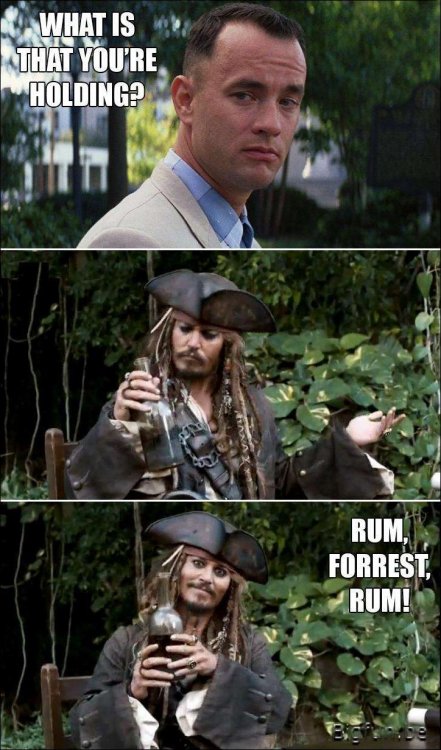 -Funny-Rum-MEME-2014.jpg