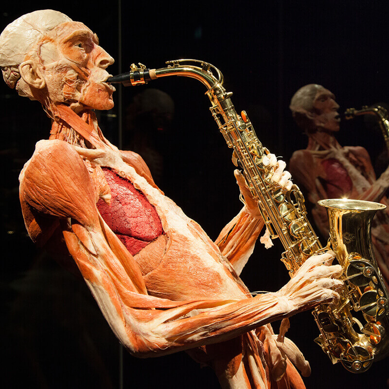 Image result for amsterdam body world