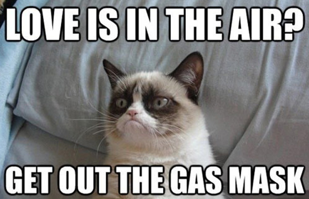 011_best-Grumpy-Cat-memes.jpg