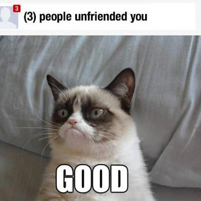 021_best-Grumpy-Cat-memes.jpg