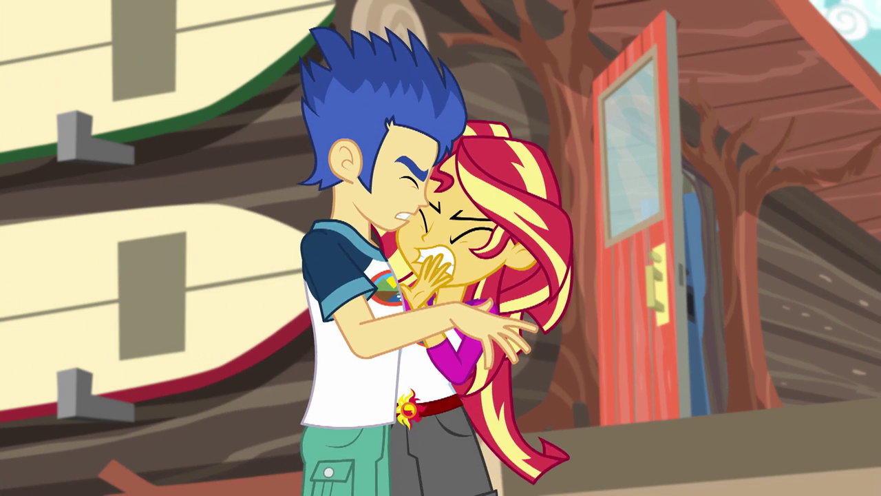 Image result for flash sentry and sunset shimmer