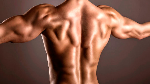 How-to-Cure-Big-Arms-Small-Back-Syndrome