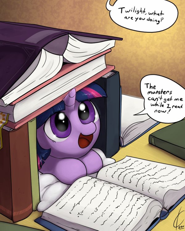Book Fort Twilight by Dreatos on DeviantArt