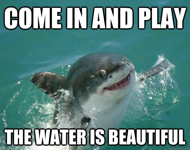 Image result for shark meme