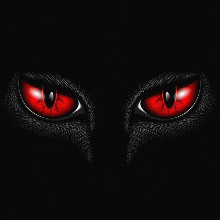 image?_version=00_09_000&platform=chihir