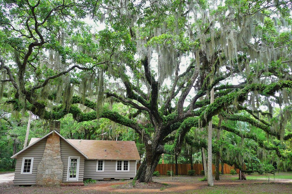 1200px-Washington_Oaks_State_Gardens.jpg