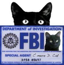 135662-cats-do-you-want-to-know-a-cat-se