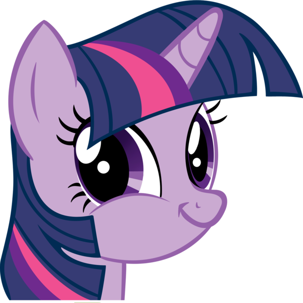 Image result for twilight sparkle your in the wrong neighbor