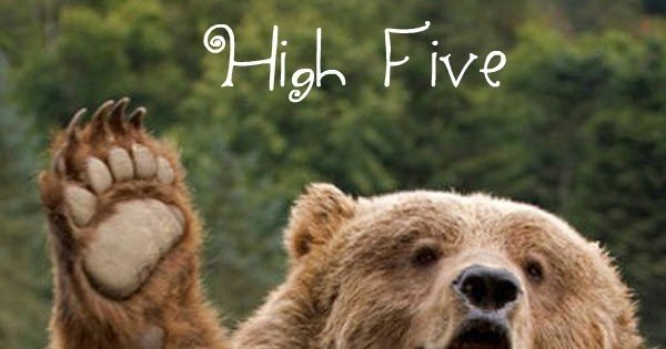 bear+high+five2.jpg
