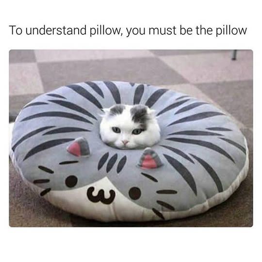 145aceb43e76f2e40eca5c90ce25e5e3.jpg
