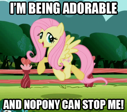 374090__safe_artist-colon-mezkalito4p_screencap_fluttershy_may+the+best+pet+win_and+nopony+can+stop+me_animated_artifact_cute_image+macro_prancing_shya.gif