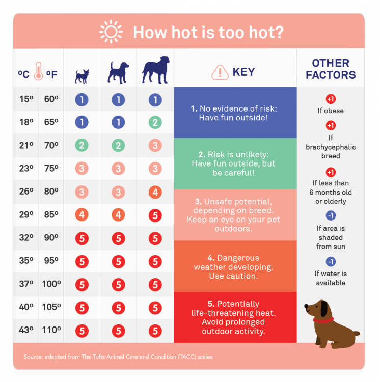 How%20Hot%20Is%20Too%20Hot%20infographic