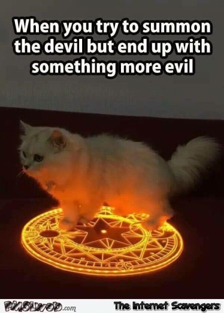 16-when-you-summon-the-devil-cat-meme.jp