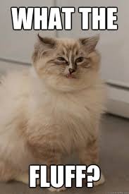 images?q=tbn:ANd9GcSxKaTARByFvgISFjTiKM3