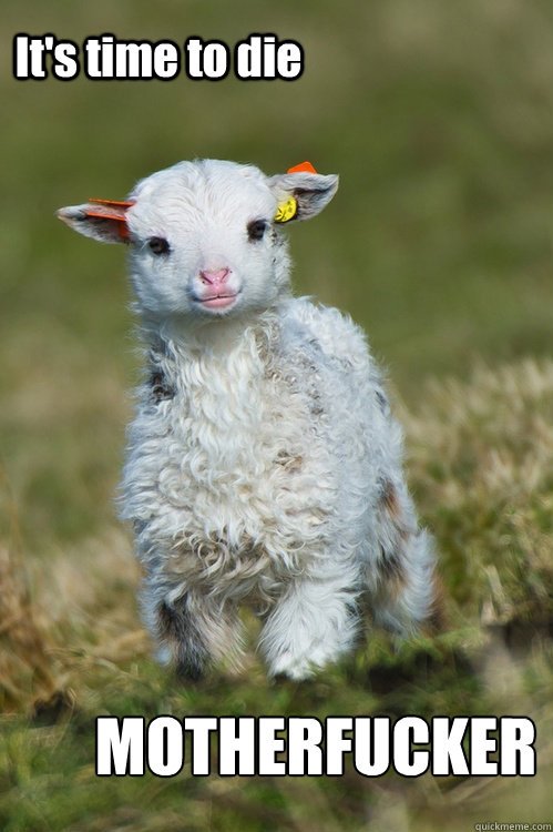 180622362771783dd9d8ce2df7f0c71439e7e680