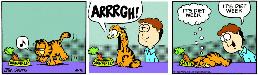 Znalezione obrazy dla zapytania garfield diet