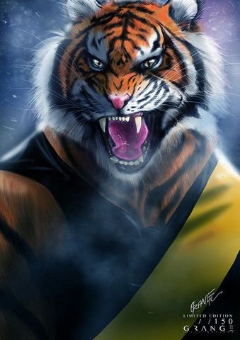 Image result for RICHMOND TIGERS GRANGE