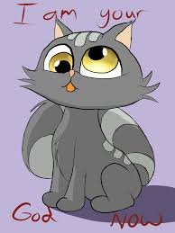 images?q=tbn:ANd9GcSqo6lHHIFOEloDVIhpH_c