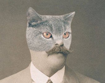 il_340x270.1256534306_ef3d.jpg?version=1