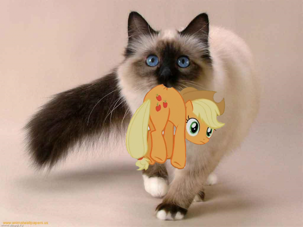 1f3.png