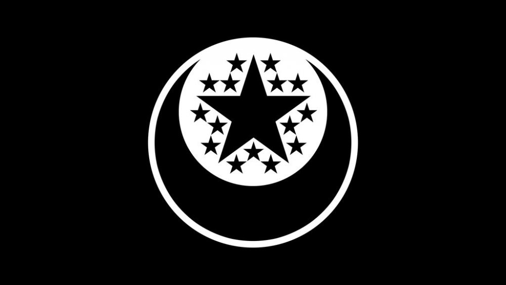 union_of_new_lunar_republics_flag_by_tsa
