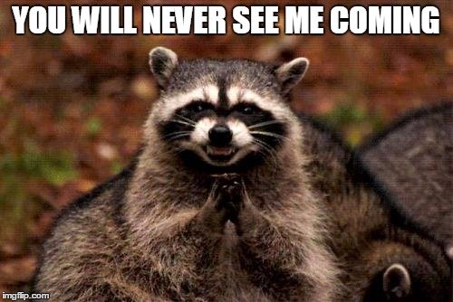 Evil Plotting Raccoon Meme - Imgflip