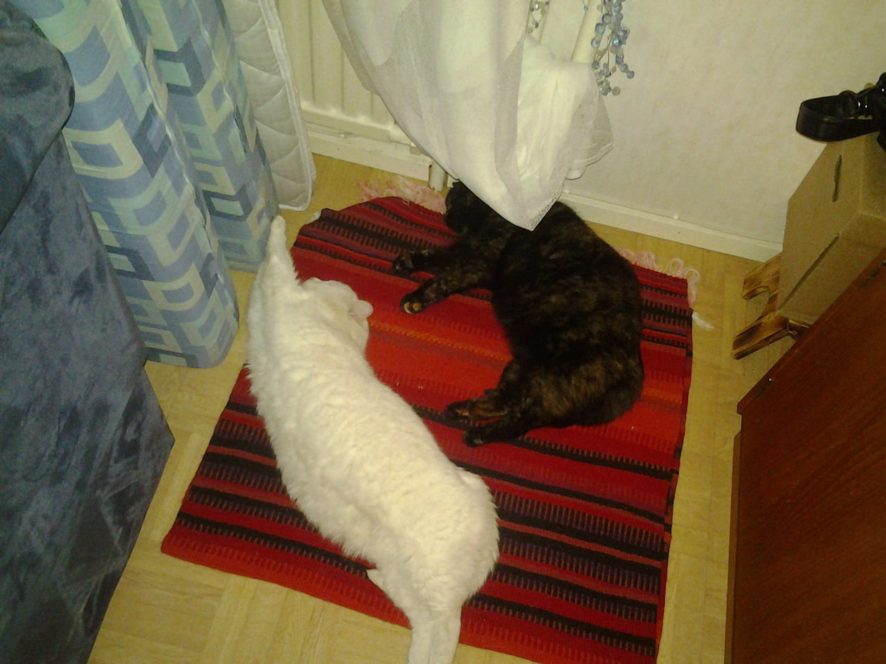 2013_01_12_00_11_50.jpg&key=9b51184c6577