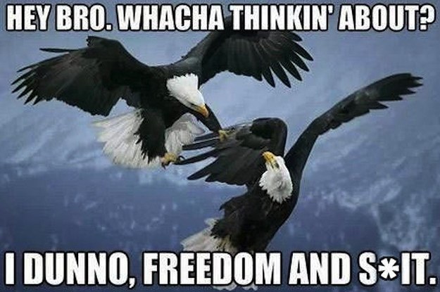 21-murica-memes-to-keep-your-patriotism-