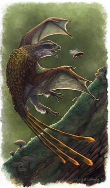 Yi (dinosaur) - Wikipedia