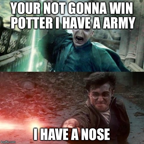 Image result for harry potter memes