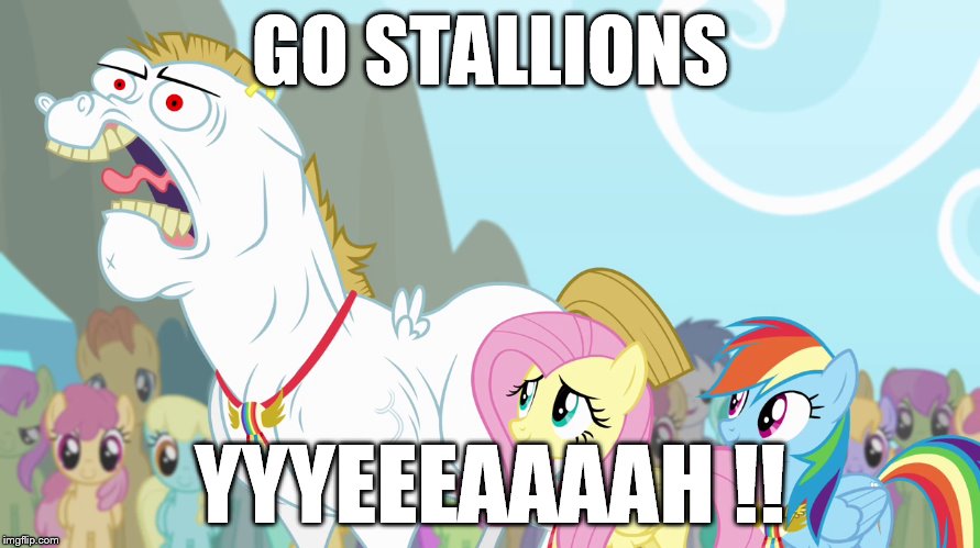 GO STALLIONS YYYEEEAAAAH !! | made w/ Imgflip meme maker