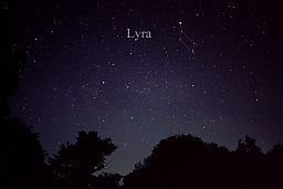 Image result for lyra