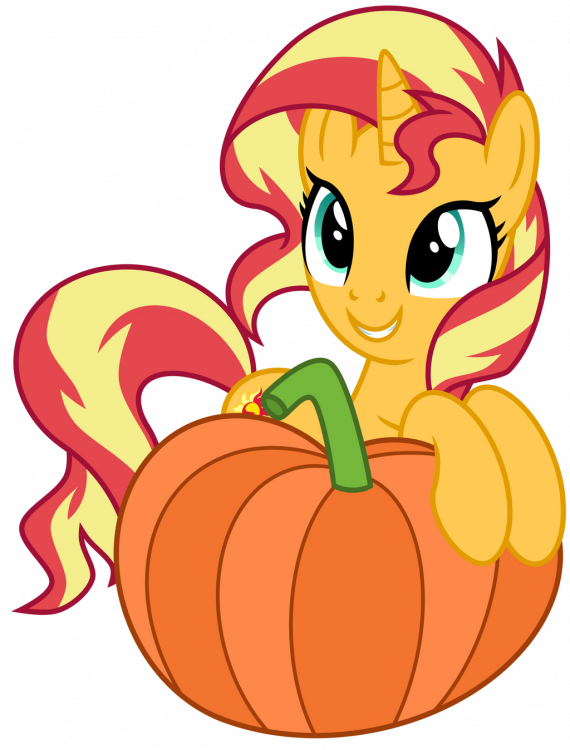 Pumpkin Pie