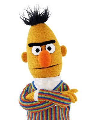 Image result for bert