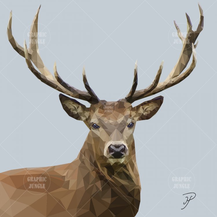 28-STAG-SQUARE-WEBW.jpg