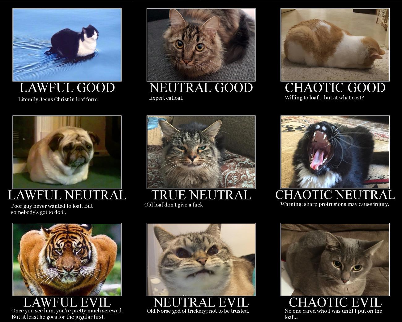 2JPzrsW.jpg