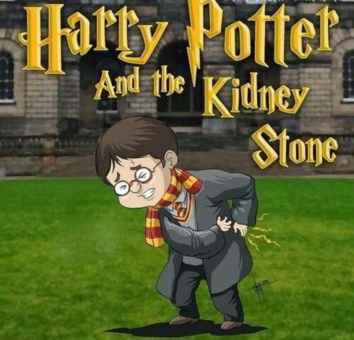 Image result for harry potter and the kidney stone