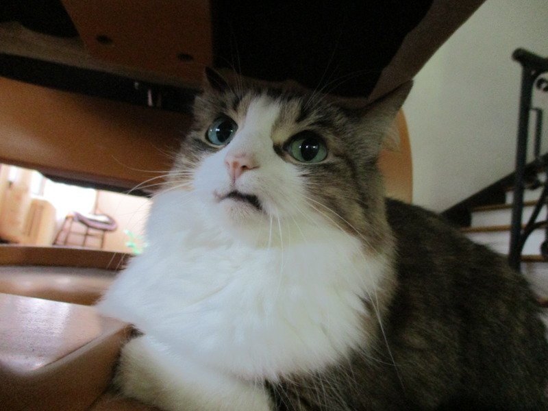 mKSa38x9wiiU1HCm9fMAyAU8_1GHdK18bfMjOSsr