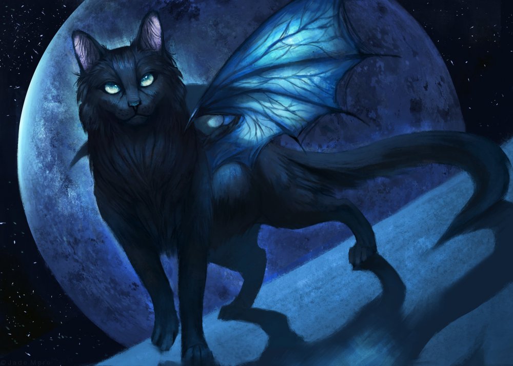 jade-mere-dragon-cat-by-jademere-d86i2ic