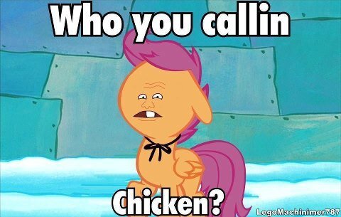 Image result for who you calling chicken