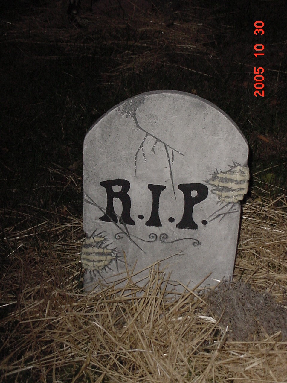 grave-rip2.JPG