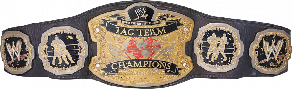 Image result for wwe world tag titles