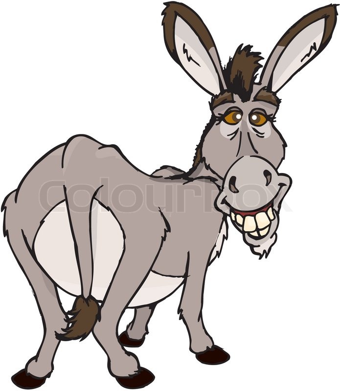 3127617-donkey.jpg