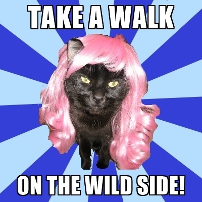 Image result for take a walk on the wild side meme