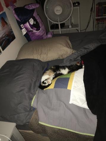 image0.jpg?width=357&height=475