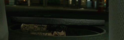 tenor.gif?itemid=13510894