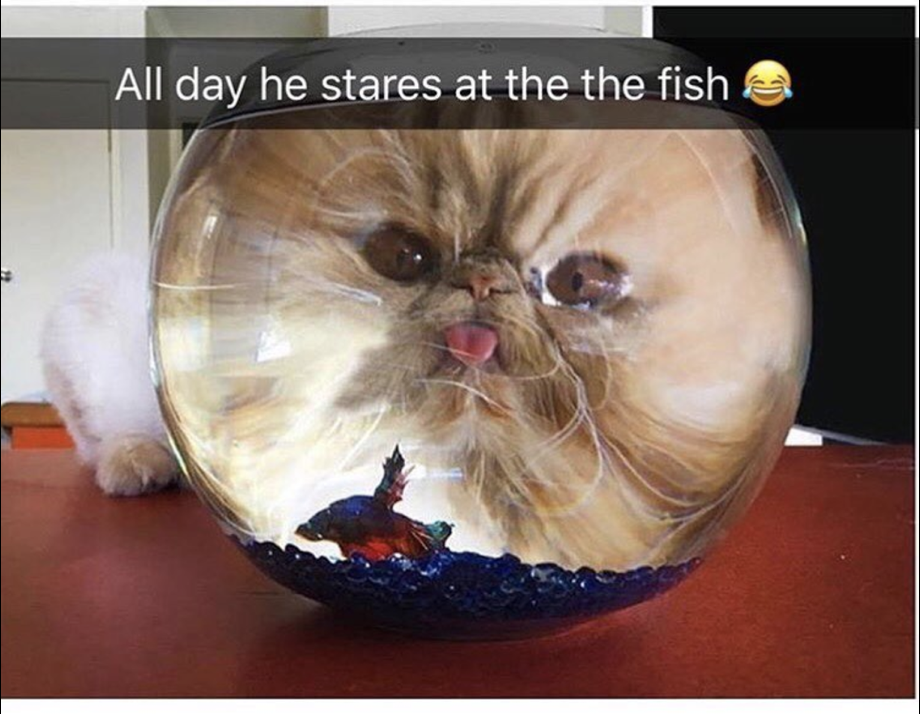3718ef1d27c1d8b55392855524e64b7e.png