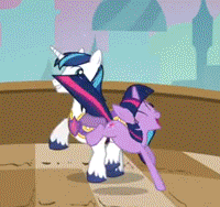Twilight Sparkle Pony cartoon mammal purple vertebrate horse like mammal fictional character games horse
