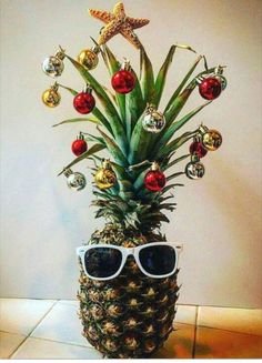 Image result for funny christmas TREE AUSTRALIA