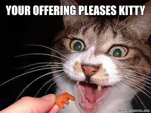 237582640_5f328f3cec_z.jpg?zz=1